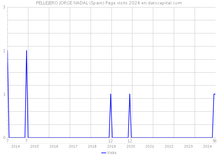 PELLEJERO JORGE NADAL (Spain) Page visits 2024 