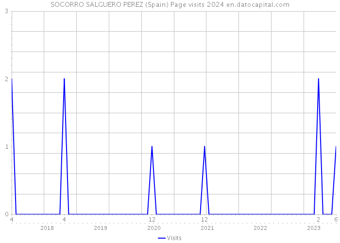 SOCORRO SALGUERO PEREZ (Spain) Page visits 2024 