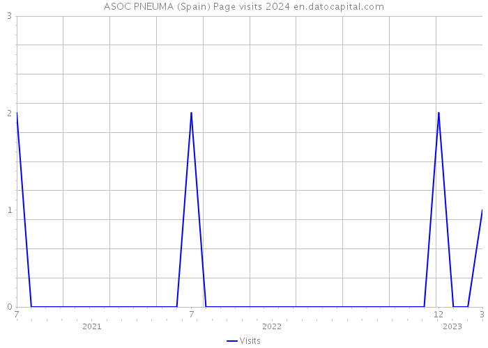 ASOC PNEUMA (Spain) Page visits 2024 