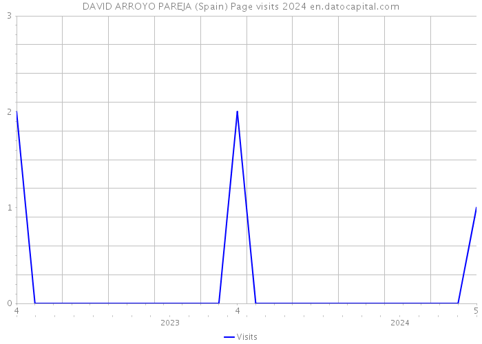 DAVID ARROYO PAREJA (Spain) Page visits 2024 