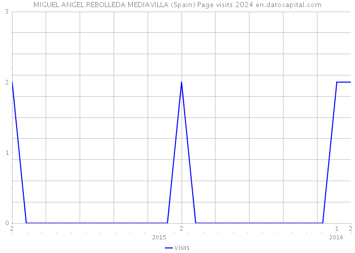 MIGUEL ANGEL REBOLLEDA MEDIAVILLA (Spain) Page visits 2024 