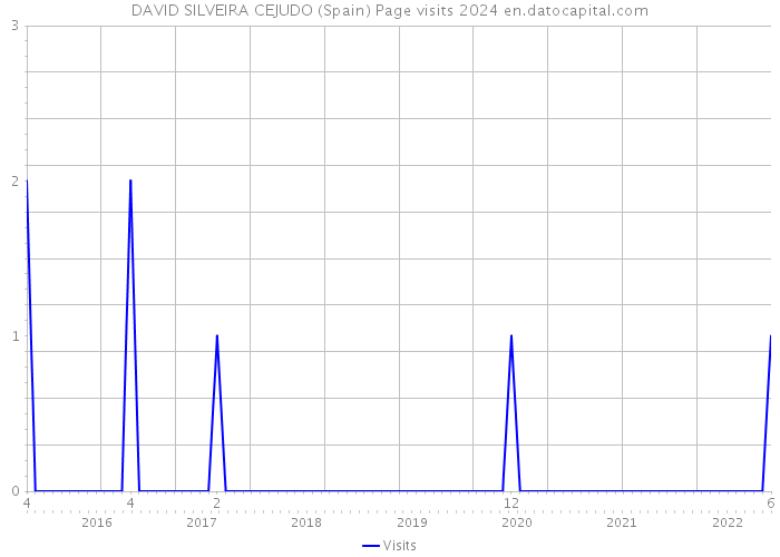 DAVID SILVEIRA CEJUDO (Spain) Page visits 2024 