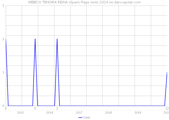 REBECA TENOIRA REINA (Spain) Page visits 2024 