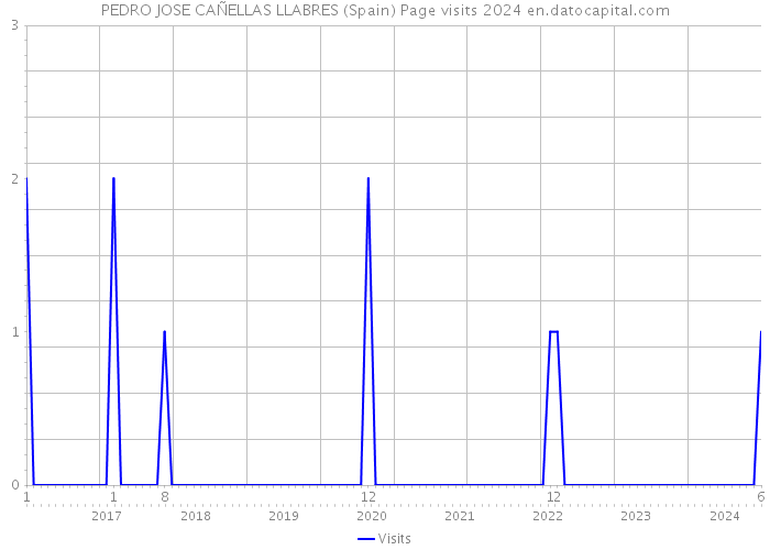 PEDRO JOSE CAÑELLAS LLABRES (Spain) Page visits 2024 