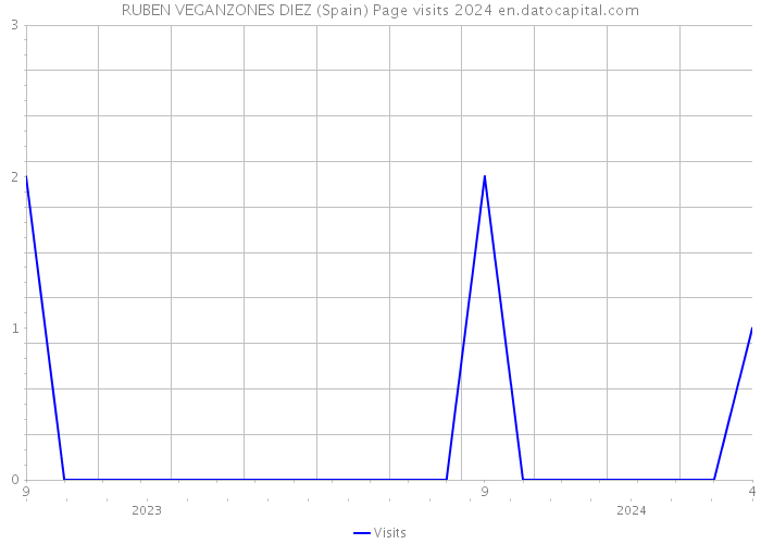 RUBEN VEGANZONES DIEZ (Spain) Page visits 2024 