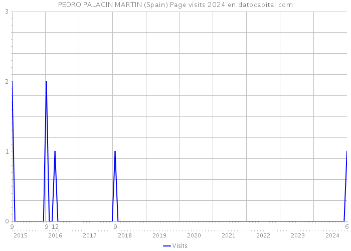 PEDRO PALACIN MARTIN (Spain) Page visits 2024 