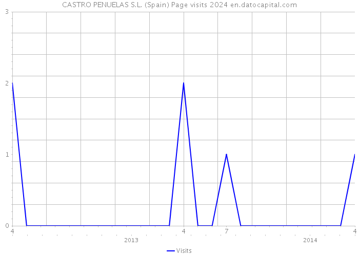 CASTRO PENUELAS S.L. (Spain) Page visits 2024 