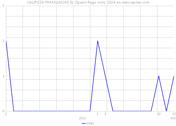 GALIPIZZA FRANQUICIAS SL (Spain) Page visits 2024 