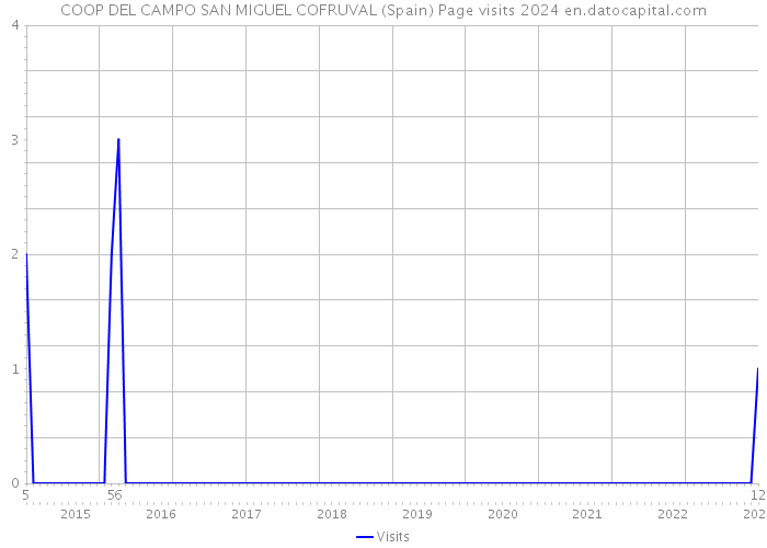 COOP DEL CAMPO SAN MIGUEL COFRUVAL (Spain) Page visits 2024 