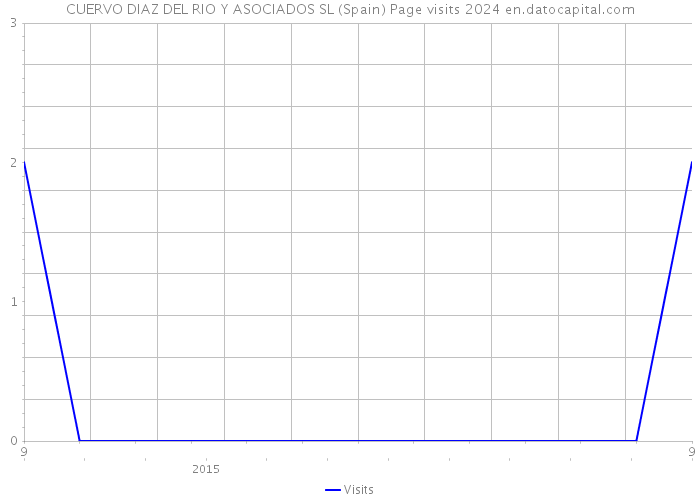 CUERVO DIAZ DEL RIO Y ASOCIADOS SL (Spain) Page visits 2024 