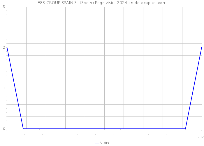 E85 GROUP SPAIN SL (Spain) Page visits 2024 