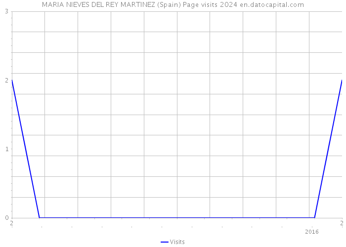 MARIA NIEVES DEL REY MARTINEZ (Spain) Page visits 2024 