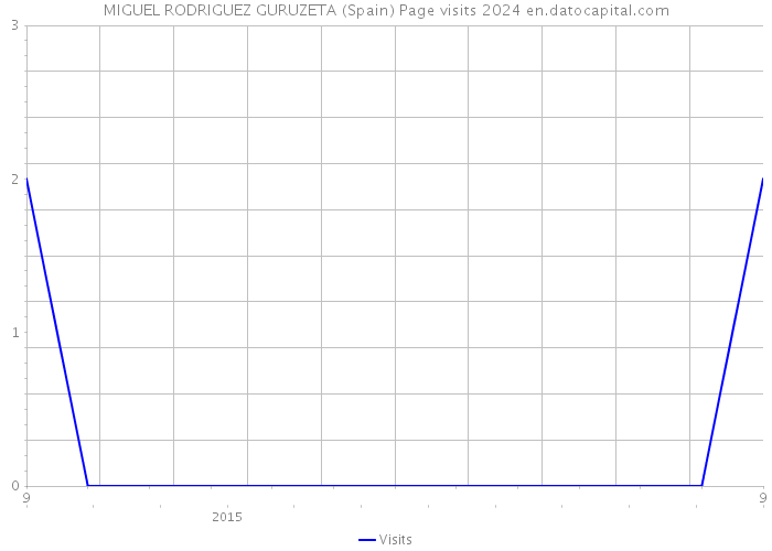 MIGUEL RODRIGUEZ GURUZETA (Spain) Page visits 2024 