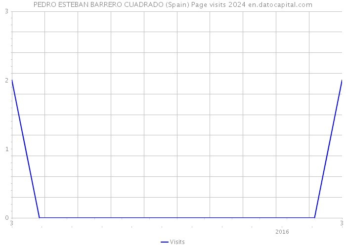 PEDRO ESTEBAN BARRERO CUADRADO (Spain) Page visits 2024 