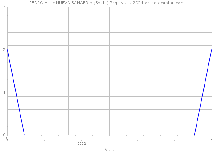 PEDRO VILLANUEVA SANABRIA (Spain) Page visits 2024 