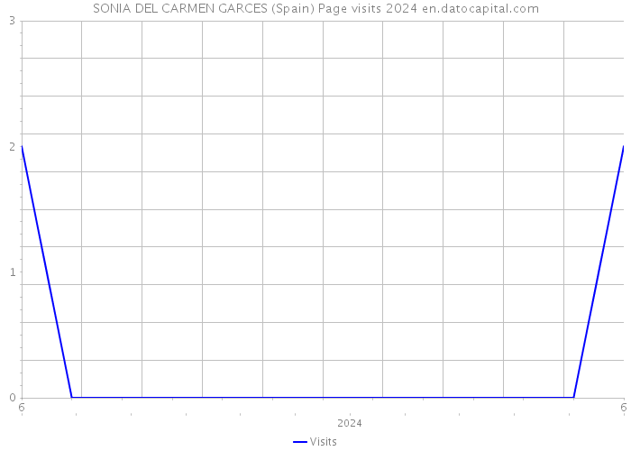 SONIA DEL CARMEN GARCES (Spain) Page visits 2024 
