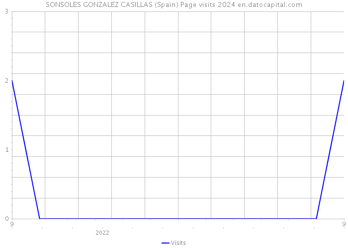 SONSOLES GONZALEZ CASILLAS (Spain) Page visits 2024 
