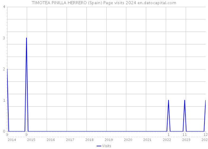 TIMOTEA PINILLA HERRERO (Spain) Page visits 2024 