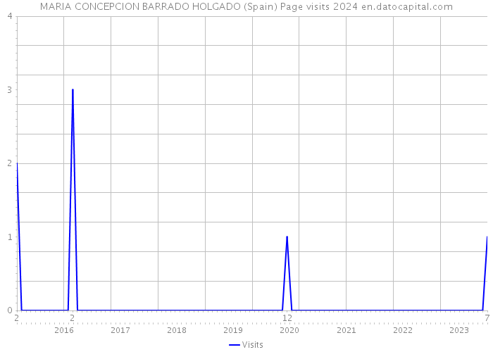 MARIA CONCEPCION BARRADO HOLGADO (Spain) Page visits 2024 