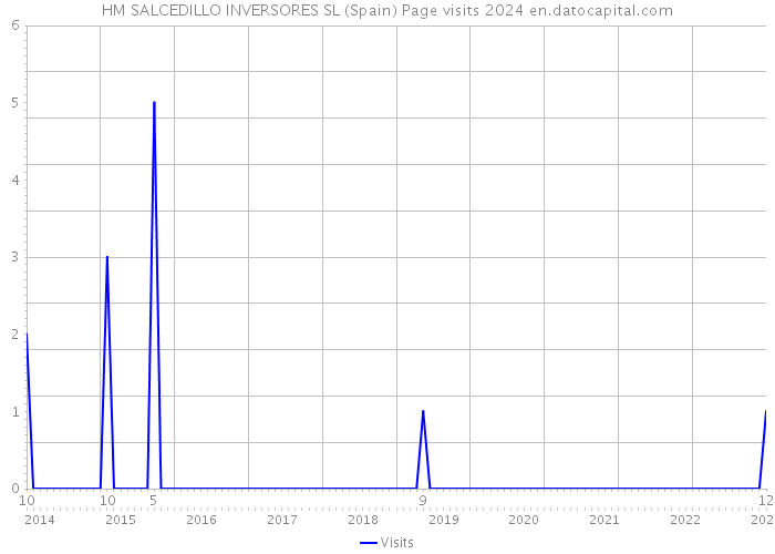 HM SALCEDILLO INVERSORES SL (Spain) Page visits 2024 