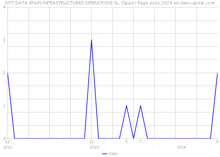 NTT DATA SPAIN INFRASTRUCTURES OPERATIONS SL. (Spain) Page visits 2024 