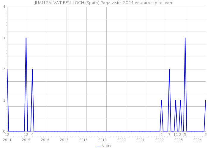 JUAN SALVAT BENLLOCH (Spain) Page visits 2024 