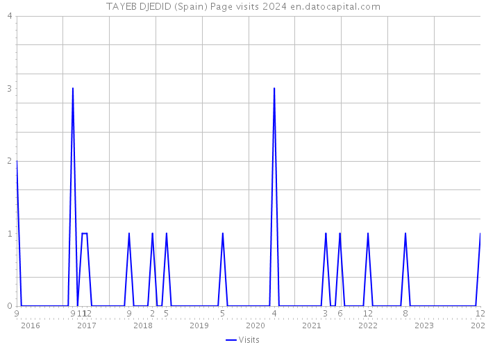 TAYEB DJEDID (Spain) Page visits 2024 