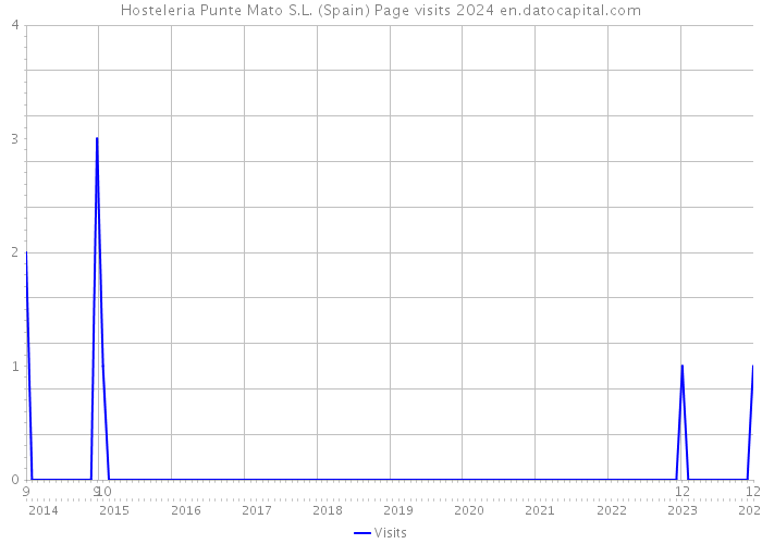 Hosteleria Punte Mato S.L. (Spain) Page visits 2024 