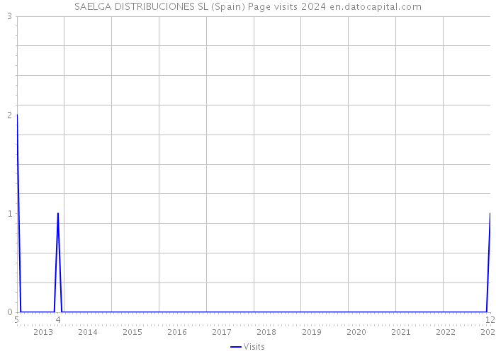 SAELGA DISTRIBUCIONES SL (Spain) Page visits 2024 
