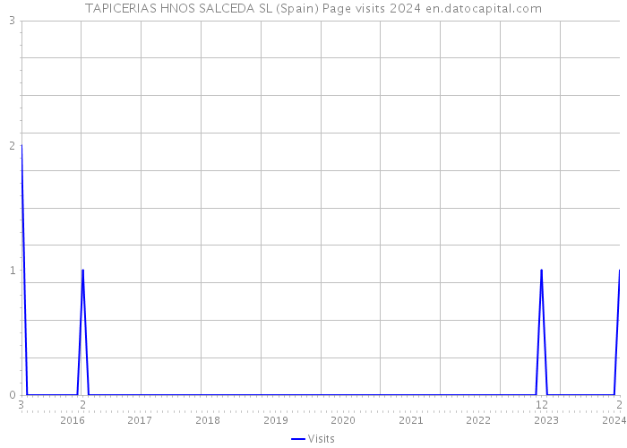 TAPICERIAS HNOS SALCEDA SL (Spain) Page visits 2024 