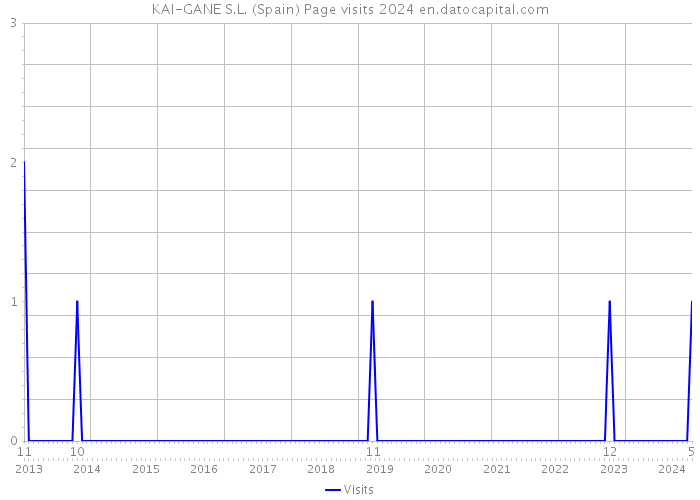 KAI-GANE S.L. (Spain) Page visits 2024 