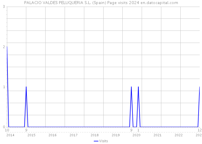 PALACIO VALDES PELUQUERIA S.L. (Spain) Page visits 2024 