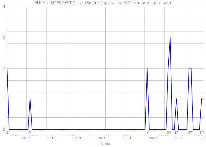 PILMAN INTERGEST S.L.U. (Spain) Page visits 2024 