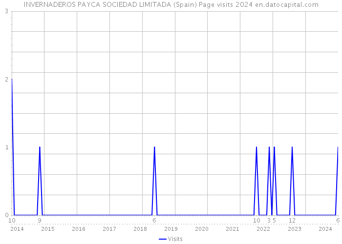 INVERNADEROS PAYCA SOCIEDAD LIMITADA (Spain) Page visits 2024 