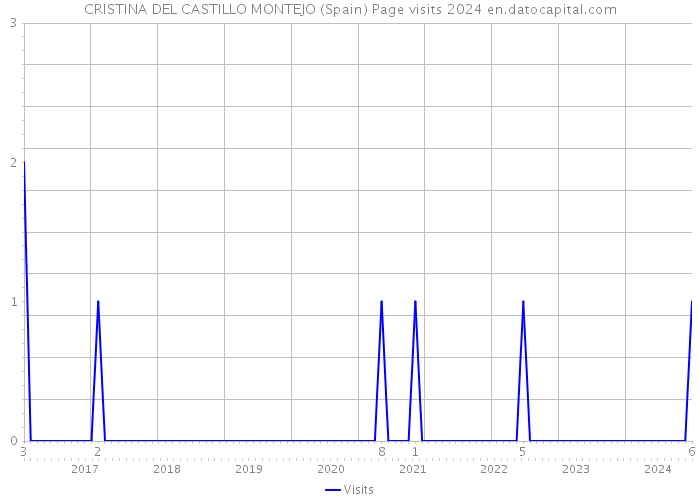 CRISTINA DEL CASTILLO MONTEJO (Spain) Page visits 2024 