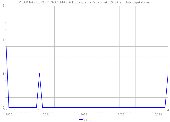 PILAR BARREIRO MORAN MARIA DEL (Spain) Page visits 2024 