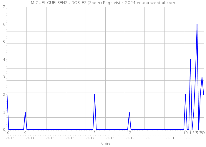 MIGUEL GUELBENZU ROBLES (Spain) Page visits 2024 