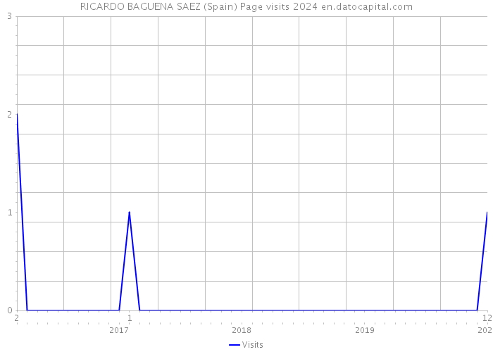 RICARDO BAGUENA SAEZ (Spain) Page visits 2024 