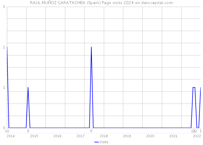RAUL MUÑOZ GARATACHEA (Spain) Page visits 2024 