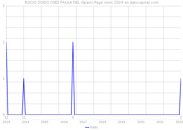 ROCIO ZOIDO OSES PAULA DEL (Spain) Page visits 2024 