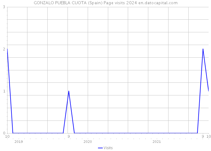 GONZALO PUEBLA CUOTA (Spain) Page visits 2024 