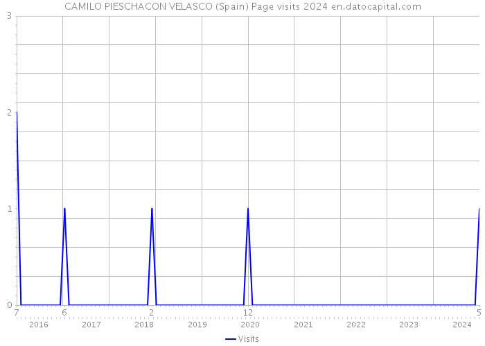 CAMILO PIESCHACON VELASCO (Spain) Page visits 2024 