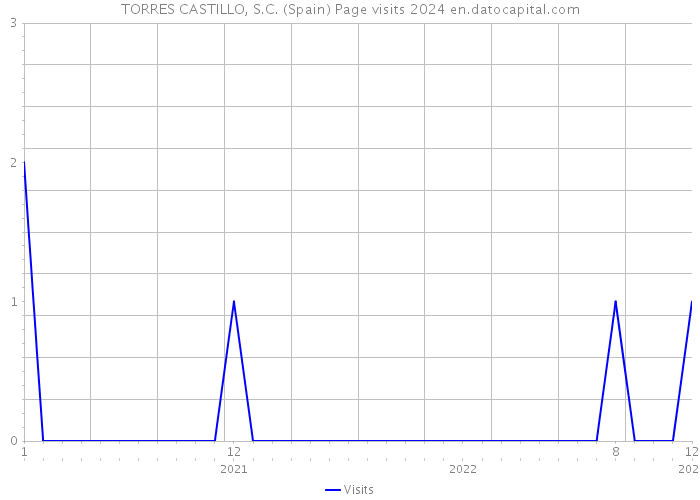 TORRES CASTILLO, S.C. (Spain) Page visits 2024 