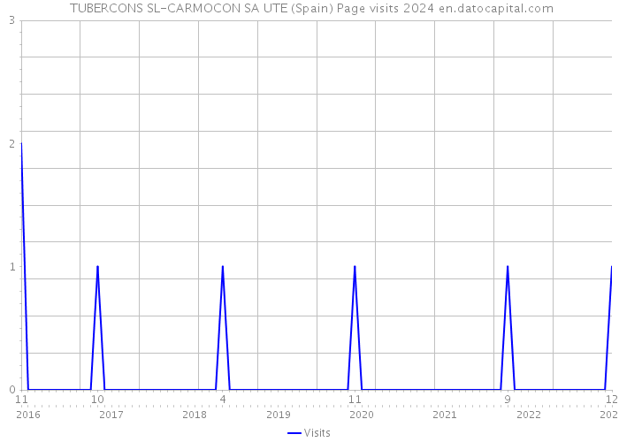  TUBERCONS SL-CARMOCON SA UTE (Spain) Page visits 2024 