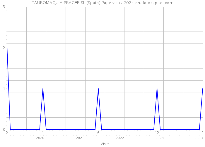 TAUROMAQUIA PRAGER SL (Spain) Page visits 2024 
