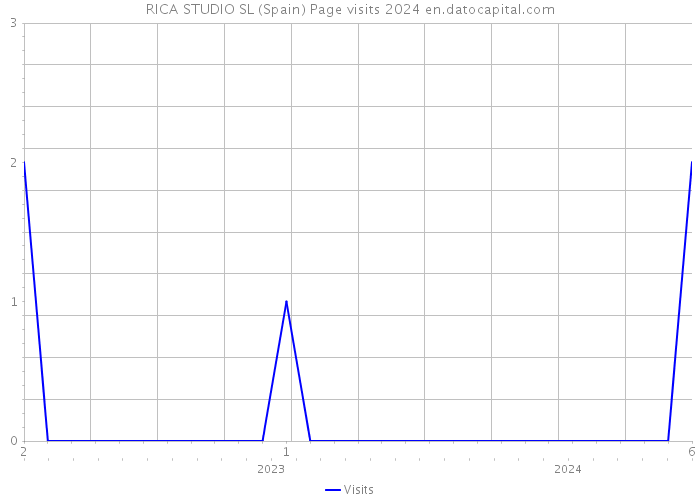 RICA STUDIO SL (Spain) Page visits 2024 