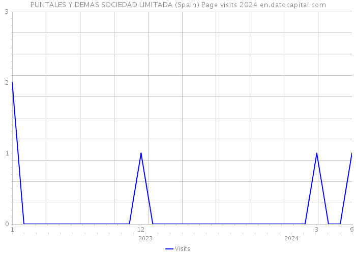 PUNTALES Y DEMAS SOCIEDAD LIMITADA (Spain) Page visits 2024 