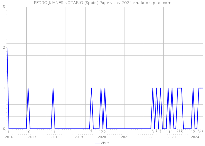 PEDRO JUANES NOTARIO (Spain) Page visits 2024 