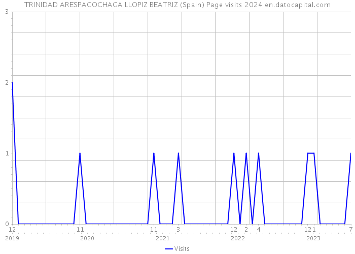 TRINIDAD ARESPACOCHAGA LLOPIZ BEATRIZ (Spain) Page visits 2024 