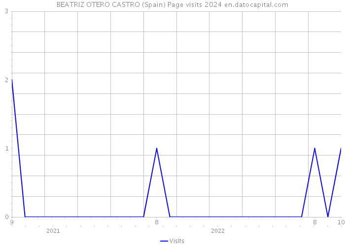 BEATRIZ OTERO CASTRO (Spain) Page visits 2024 